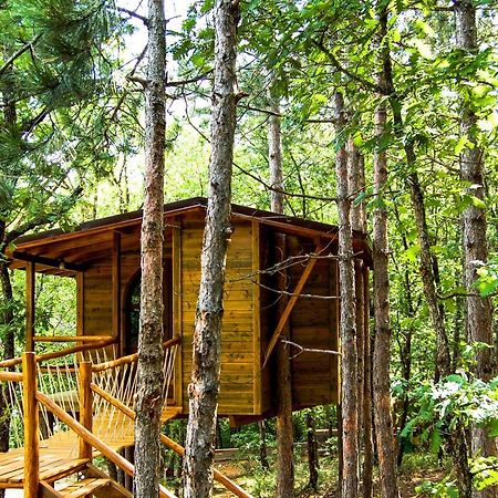 Bed and Breakfast Agramada Арнея Экстерьер фото