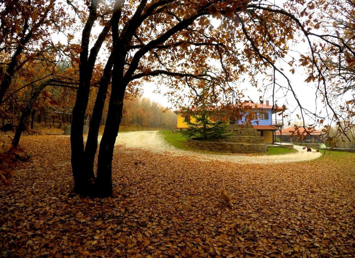 Bed and Breakfast Agramada Арнея Экстерьер фото